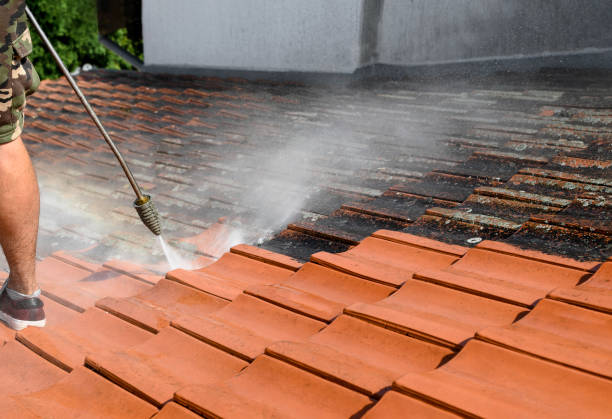 Pressure Washing Services for Businesses in Natchez, MS